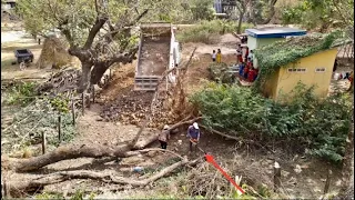 New project experts poured soil in a school to build a bathroom And not to be difficult for students