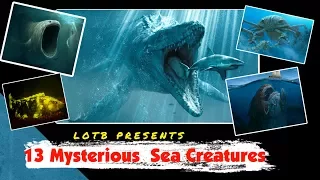 13 Deep Sea Creatures You Won't Believe Exist!