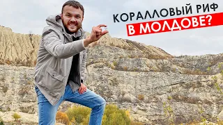 Точно Молдова? Коралловые рифы, гробницы, кратер и "альпийские луга" / Фетешты