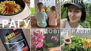 🔥Мотивація: 🌿садові справи, 💫чиста кухня, порядок у ванній, ЗЕЛЕНИЙ БОРЩ КЛАСИЧНИЙ, овочеве рагу