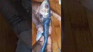 How To Remove  Bones From The Herring Fish To Make It For Sardine.
