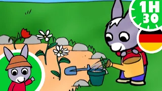 🌸 Trotro wartet darauf, dass die Pflanze wächst 🌸 - Cartoon für Baby