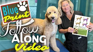 DOG GROOMING Fail-Proof BLUEPRINT follow along video lesson