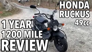 Honda Ruckus - ONE YEAR OWNERSHIP REVIEW