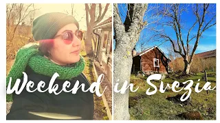 SVEZIA: Weekend In Una Classica Stuga (cottage) Svedese ❤️ PARTE 1