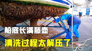 船底吸附大片藤壶怎么办？加压水枪对准藤壶狂扫，过程太解压了