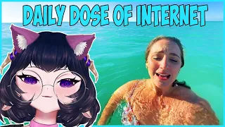 ErinyaBucky reacts to Daily Dose of Internet ! | Bucky reacts