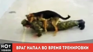 Ржака! Солдат атакован врагом в ходе тренировки ))... ( HOT VIDEOS | Смотреть видео HD )