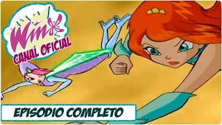 Winx Club 3x05 Temporada 3 Episodio 05 "El Mar del Miedo" Español Latino Nickelodeon