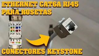 Conectores RJ45 hembra para rosetas y patch panel - Keystone Cat6A