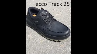 ECCO TRACK 25 (831714-51052)