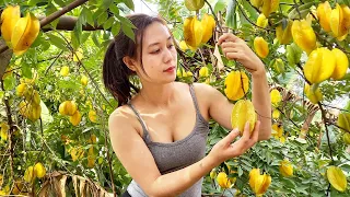 Harvesting star fruit and green vegetables in the garden - Selling at the market | Ngân Daily Life