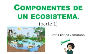 Componentes de un ecosistema (Parte 1): Concepto.  Biotopo y Biocenosis.