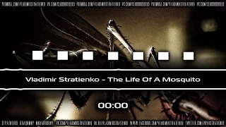 Vladimir Stratienko - The Life Of A Mosquito | Владимир Стратиенко - Жизнь Комара