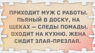 Муж пришел с работы пьяный в доску. Подборка веселых анекдотов!