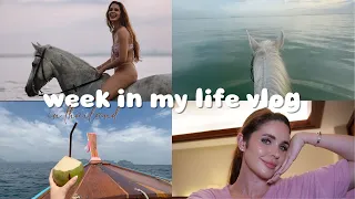 a week in my life in thailand vlog: swimming with horses, work meetings and boat trips!