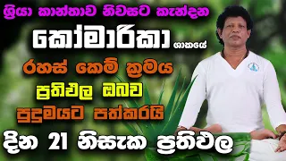 මෙ කෙම් ක්‍රමය ඔබත් අත් හදා බලන්න|ධනය ගලා එන කෝමාරිකා|දින 21 නිසැක ප්‍රතිඵල| Aloe Vera|venas lokaya