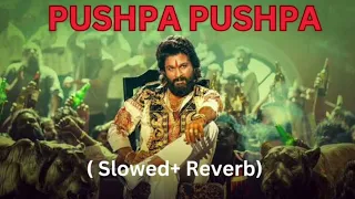 PUSHPA PUSHPA -Pushpa 2 The Rule | Slowed reverb | Sukumar | allu arjun |no copyright song