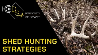 Shed Hunting 101 | HOW to find the Most Sheds this year...