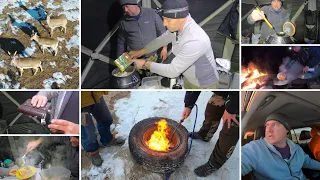 Едем на охоту. В поисках Джейрана часть 2