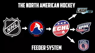 The North American Professional Hockey Feeder System