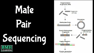 Mate Pair Sequencing | Paired End Mate Pair Sequencing | Paired End Sequencing |