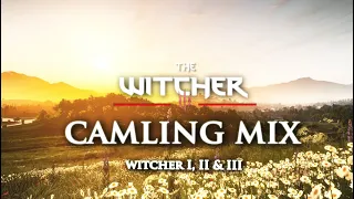 The Witcher - Emotional and Relaxing Music & Ambience - Witcher 1, 2 ,3 Soundtrack Ambient Mix