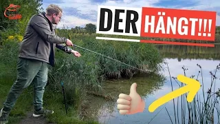 Eigentlich waren GREWALD auf ZANDER – aber dann passierte DAS UNERWARTETE (fast noch abgerissen)