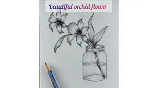 Learn how to draw a orchid flower in a jar|| Step by step with pencil sketch|| By Hafsa Creative Art