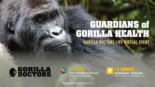 Gorilla Doctors LIVE - Virtual Event - December 8, 2022