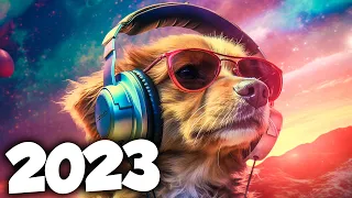 THE BEST ELECTRONIC MUSIC 2023 🔥 MOST PLAYED ELECTRONIC SONGS | Alok, Tiesto & David Guetta