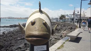 Daydream | What a Day for a Daydream in Corralejo, Fuerteventura