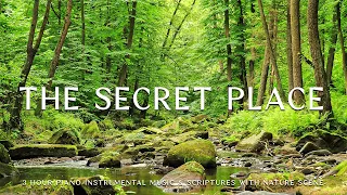 The Secret Place: Instrumental Worship, Meditation & Prayer Music with Nature 🌿CHRISTIAN piano