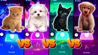 CUTE CAT KILL THIS LOVE VS CUTE DOG ENEMY VS CUTE CAT BLACKPINK DDU DU DU VS CUTE DOG BABY SHARK