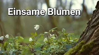 Einsame Blumen - From Waldszenen by Robert Schumann