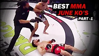 MMA's Best Knockouts of the June 2023, HD | Part 1
