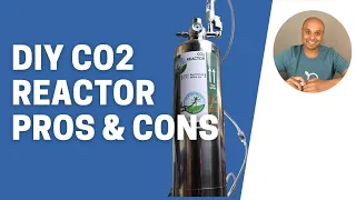 Using new DIY co2 for 10 weeks | Pros and cons (2021)