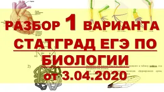 ЕГЭ БИОЛОГИЯ (1 Вариант Статград апрель 2020)