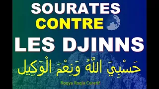 13 SOURATES CONTRE LES DJINNS, POSSESSION, DÉMON, SATAN, DIABLE