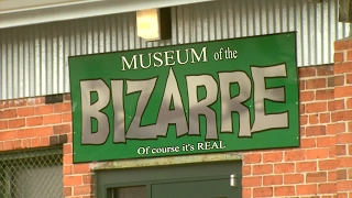 The Museum of the Bizarre | NC Weekend | UNC-TV
