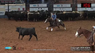 2020 AQHA Junior Cutting