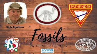 Fossils Pathfinder Honour e Honour