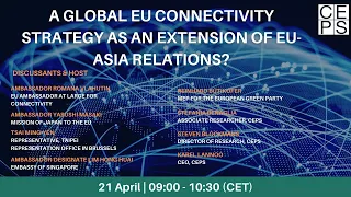 A global EU Connectivity Strategy as an extension of EU-Asia relations?