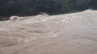 melintasi riam udang yang ganas