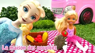 Poupées Elsa et Evi à la pique-nique. Vidéo pour enfants