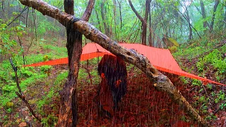 Yeongasi, a parasite that lives in deep mountain valleys... Overnight alone in the rainy forest.