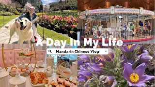 Vlog in Chinese : 🌸 A Spring Flower Day in My Life! [Real Life Real Chinese] #PinyinEnglishSubtitles