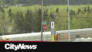 Teen dies after being hit by train in N.W. Calgary