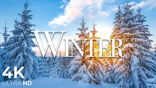 Meditation Relaxing Music | Winter Soundscape | Snow Winter 4K Relaxation Film