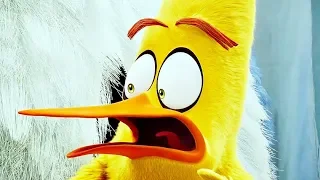 Angry Birds 2 в кино — Сцена из мультфильма #2 (2019)